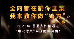全网都在割你韭菜,我来教你做镰刀,2025年普通人如何通过 知识付费 实现财F自由【揭秘】-水滴知识网