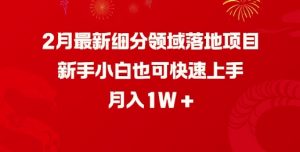 2月最新细分领域落地项目,新手小白也可快速上手,月入1W-水滴知识网