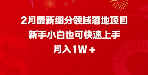 2月最新细分领域落地项目,新手小白也可快速上手,月入1W-水滴知识网