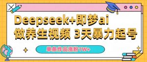 小白用DeepSeek+即梦做ai养生视频,一条作品涨粉5万+,单日收益多张-水滴知识网