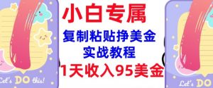 复制粘贴挣美金,0门槛,1天收入95美刀,3分钟学会,内部教程(首次公开)-水滴知识网