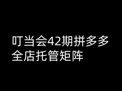 叮当会拼多多打爆班原创高阶技术第42期,拼多多全店托管矩阵-水滴知识网