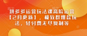 拼多多运营玩法课高阶运营【2月更新】,极致群爆款玩法,轻付费无尽复制等-水滴知识网