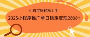 2025小程序推广单日稳定变现多张,一部手机即可操作,小白宝妈轻松上手【揭秘】-水滴知识网