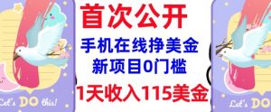 在线挣美金新项目,0门槛,1天收入115美刀,无脑操作,真正被动收入-水滴知识网
