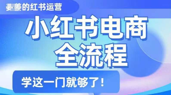 小红书电商全流程,精简易懂,从入门到精通,学这一门就够了-水滴知识网