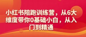 小红书陪跑训练营,从6大维度带你0基础小白,从入门到精通-水滴知识网