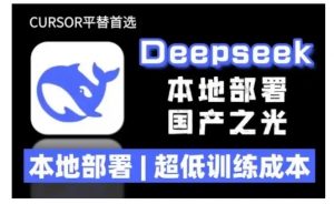 2025年deepseek R1 大型模型本地安装部署(文件+教程)本地部署,超低训练成本-水滴知识网