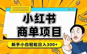 小红书千粉商单,稳定快速变现项目,实现月入6-8k并不是很难-水滴知识网