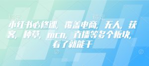 小红书必修课,覆盖电商,无人,获客,种草,mcn,直播等多个板块,看了就能干-水滴知识网