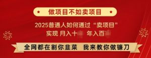 必看,做项目不如卖项目,2025普通人如何通过“卖项目”实现月入十个,年入百个-水滴知识网