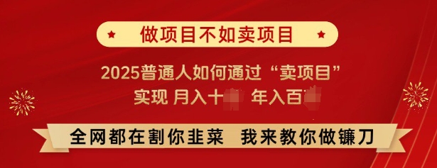 必看,做项目不如卖项目,2025普通人如何通过“卖项目”实现月入十个,年入百个-水滴知识网
