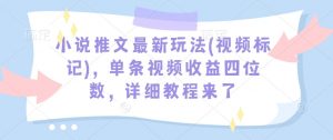 小说推文最新玩法(视频标记)，单条视频收益四位数，详细教程来了-水滴知识网