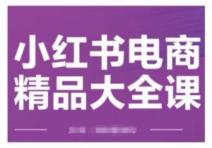 小红书电商精品大全课,快速掌握小红书运营技巧,实现精准引流与爆单目标,轻松玩转小红书电商(更新2月)-水滴知识网