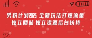 男粉计划2025  全新玩法打爆流量 独立网站 独立资源后台扶持【揭秘】-水滴知识网