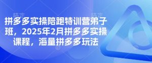 拼多多实操陪跑特训营弟子班,2025年2月拼多多实操课程,海量拼多多玩法-水滴知识网
