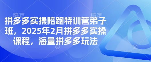 拼多多实操陪跑特训营弟子班,2025年2月拼多多实操课程,海量拼多多玩法-水滴知识网