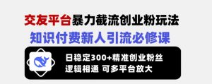 交友平台暴力截流创业粉玩法,知识付费新人引流必修课,日稳定300+精准创业粉丝,逻辑相通可多平台放大-水滴知识网