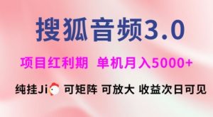搜狐音频挂ji3.0.可矩阵可放大,独家技术,稳定月入5000+【揭秘】-水滴知识网