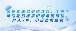 闲鱼卖虚拟资料项目,手把手带你吃透虚拟资源暴利玩法,月入2W,小白也能复制-水滴知识网