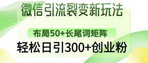 微信引流裂变新玩法:布局50+长尾词矩阵,轻松日引300+创业粉-水滴知识网