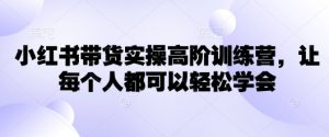 小红书带货实操高阶训练营,让每个人都可以轻松学会-水滴知识网