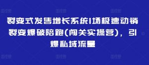 裂变式发售增长系统1场极速动销裂变爆破陪跑(闯关实操营)，引爆私域流量-水滴知识网