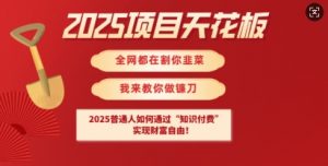 2025项目天花板普通人如何通过知识付费,实现财F自由【揭秘】-水滴知识网