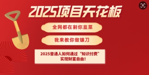 2025项目天花板普通人如何通过知识付费,实现财F自由【揭秘】-水滴知识网