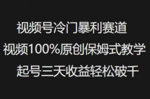 视频号冷门暴利赛道视频100%原创保姆式教学起号三天收益轻松破千-水滴知识网