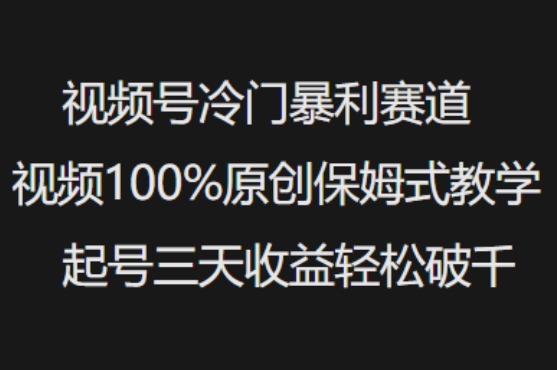 视频号冷门暴利赛道视频100%原创保姆式教学起号三天收益轻松破千-水滴知识网
