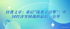 付费文章：重启”钱袋子引擎”：中国经济突围战的最后一公里-水滴知识网