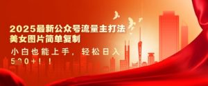 2025最新公众号流量主打法,美女图片简单复制,小白也能上手,轻松日入5张-水滴知识网
