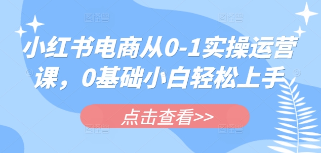 小红书电商从0-1实操运营课,0基础小白轻松上手-水滴知识网