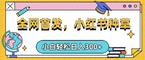 小红书种草，手机项目，日入3张，复制黏贴即可，可矩阵操作，动手不动脑【揭秘】-水滴知识网