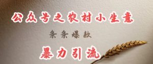 deepseek写农村小项目，条条爆款，暴力引流-水滴知识网