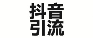 2025年抖音最新暴力引流法，只需一个视频加一段文字，简单操作，单日引300+创业粉-水滴知识网