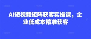 AI短视频矩阵获客实操课，企业低成本精准获客-水滴知识网