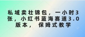 私域卖壮锦包，一小时3张，小红书蓝海赛道3.0版本， 保姆式教学-水滴知识网