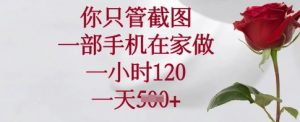 你只管截图，一部手机在家做，一小时120.一天5张【揭秘】-水滴知识网