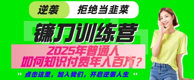 【网创项目终点站-镰刀训练营超级IP合伙人】25年普通人如何通过知识付费实现逆袭【揭秘】-水滴知识网