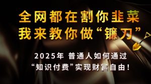 全网都在割你韭菜，我来教你做镰刀，2025普通人如何通过知识付费，实现财F自由【揭秘】-水滴知识网