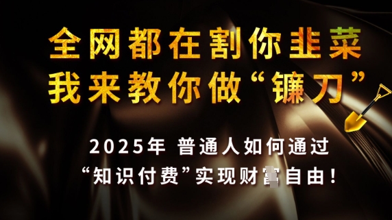 全网都在割你韭菜，我来教你做镰刀，2025普通人如何通过知识付费，实现财F自由【揭秘】-水滴知识网