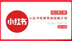 2025小红书虚拟电商实战课,从0到1打造无货源店铺,AI+爆款笔记轻松变现-水滴知识网