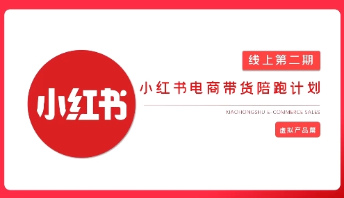 2025小红书虚拟电商实战课,从0到1打造无货源店铺,AI+爆款笔记轻松变现-水滴知识网