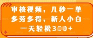 审核视频，几秒一单，多劳多得，新人小白一天轻松3张【揭秘】-水滴知识网