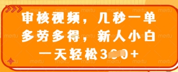 审核视频,几秒一单,多劳多得,新人小白一天轻松3张【揭秘】-水滴知识网