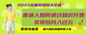 2025互联网项目天花板,普通人如何通过知识付费卖项目月入过W,拒绝当韭菜【揭秘】-水滴知识网
