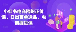 小红书电商陪跑正价课,小红书官方认证电商讲师教学,日出百单选品,电商掘进课-水滴知识网
