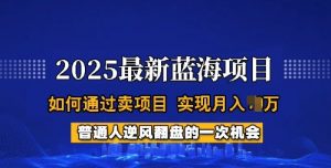 2025蓝海项目，普通人如何通过卖项目，实现月入过W，全过程【揭秘】-水滴知识网